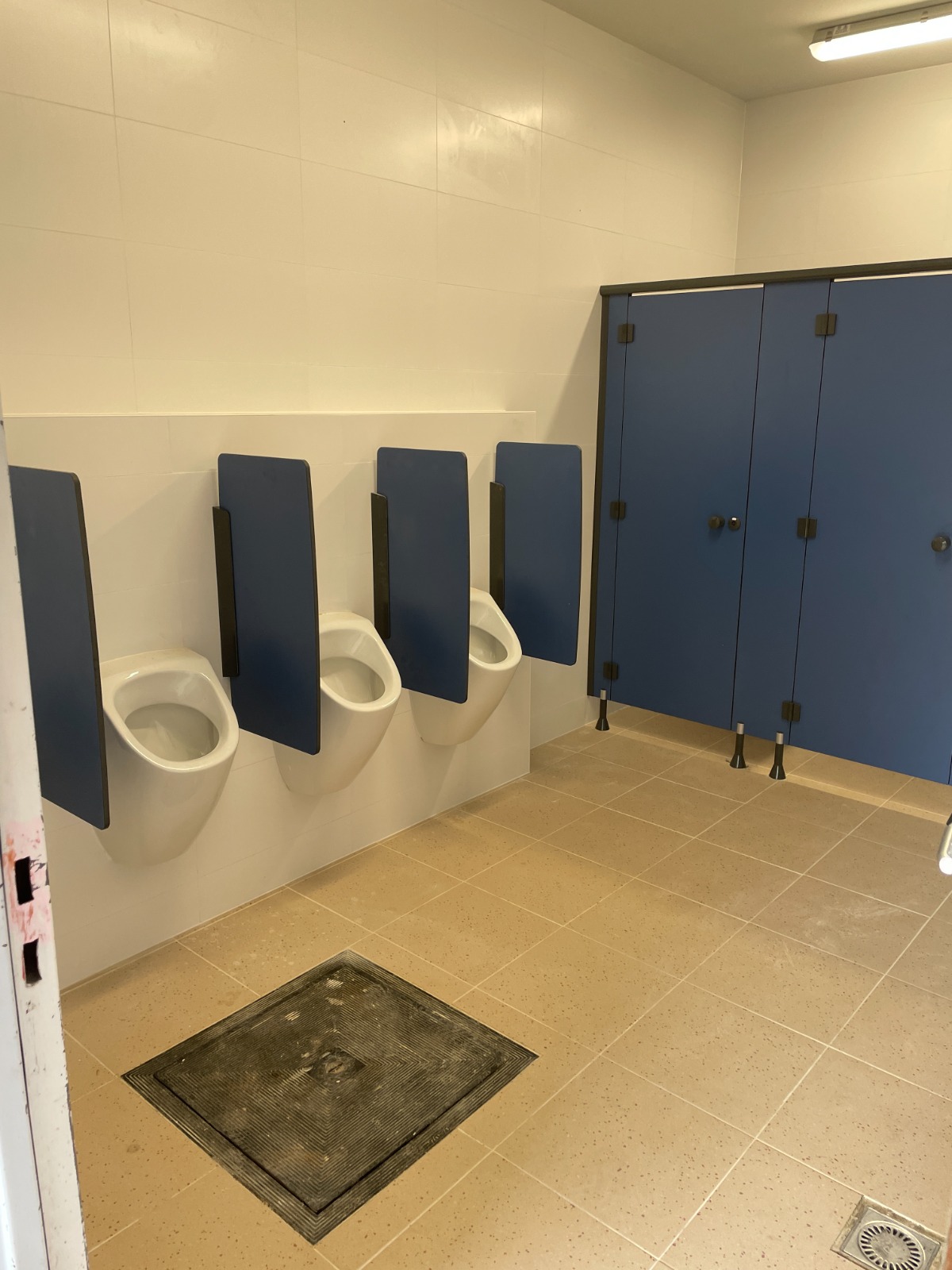 Sanitaire ruimte in een school in Gent met urinoirs, blauwe scheidingswanden en cabines.
